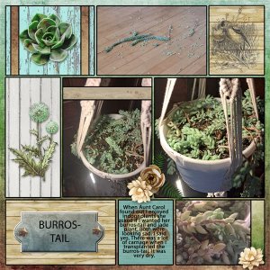 Burro-Tail Right