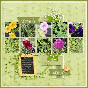 Spring Garden