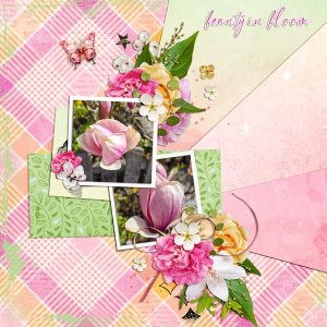 Magnolias