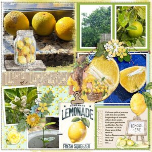 LemonsMFish_ArtsyBlocks38_04-copy.jpg
