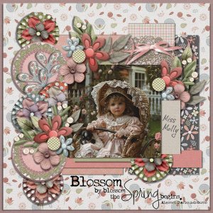 DLPatt_BlossomByBlossom_web.jpg