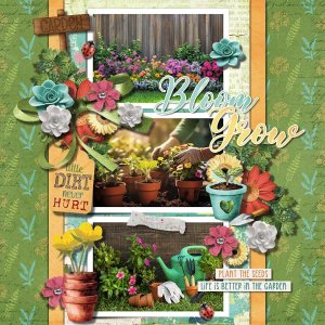 DLPatt_BloomGrow_web.jpg