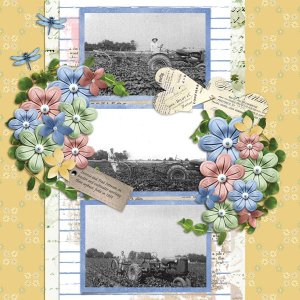 In Spring often Templates 2 #1-CarolW With Pemberley-The Brit Chick.jpg