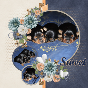 Sweet Stars I