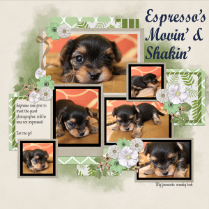 Espresso's movin and shakin