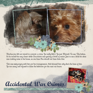 Accidental War Crimes