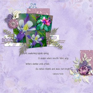Spring-Flowers2_web.jpg