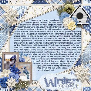 Winter Wonder