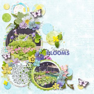 New-Garden-Blooms.jpg