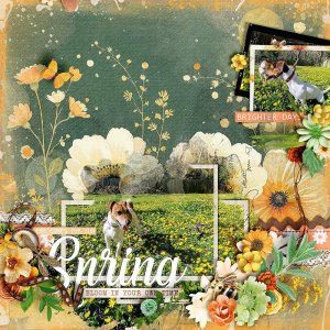 Bright spring