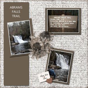ABRAMS FALLS.jpg