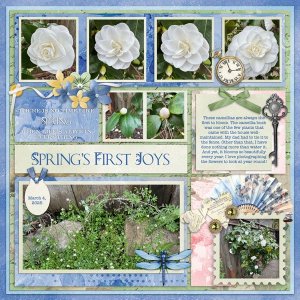 Spring's First Joys