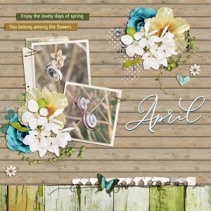 lovely days of spring