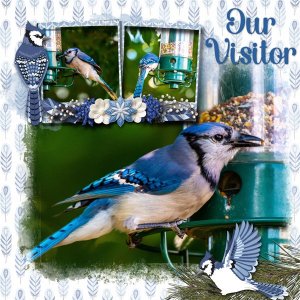 Our Visitor