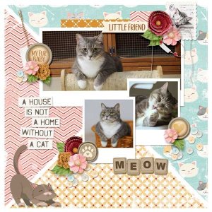 Meow
