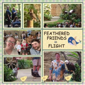 AK-Feathered-Friends.jpg