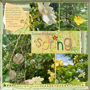 African-Gardenia-webv.jpg