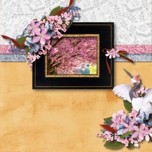 Sakura