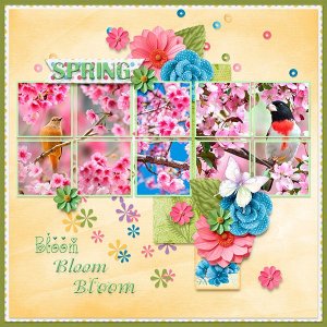 April 2026 Template Challenge from J. Conlon and Sons Gala.jpg