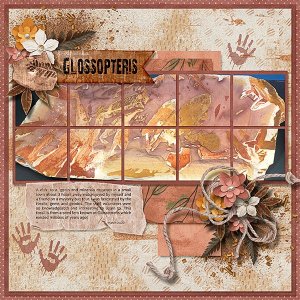 Glossopteris-webcopy.jpg