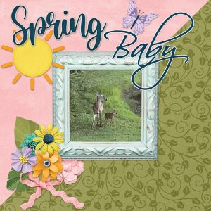 Spring-Baby.jpg
