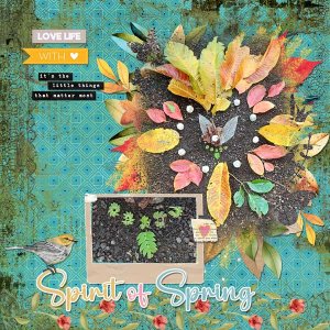 Little-Things-webv.jpg