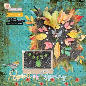Little-Things-webv.jpg