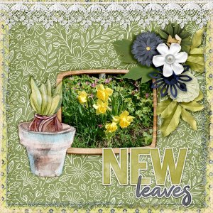 New-leaves.jpg