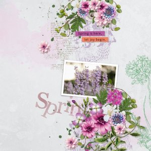 celebrate-spring.jpg