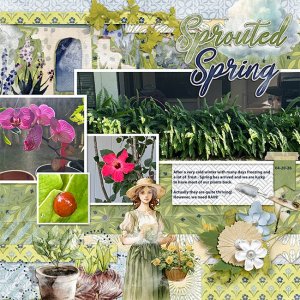 Spring-2026-aimeeh_360-2018-03_tmp1-copy.jpg