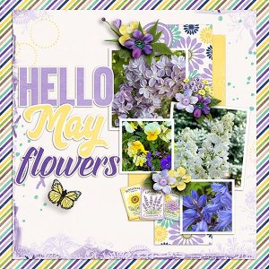 May-Flowers.jpg