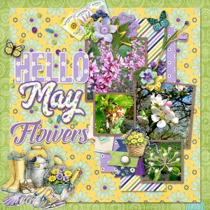 MayFlowers_ollitko_600.jpg