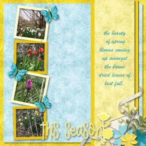 spring blooms