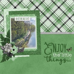enjoy the little things