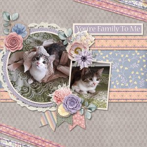 FamilyToMe_ollitko_600.jpg