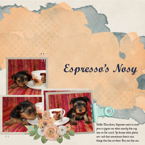 Espresso's Nosy