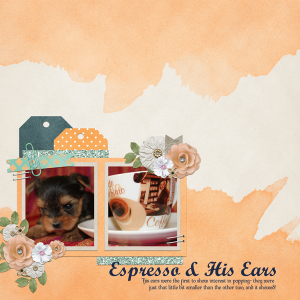 Espresso & His Ears