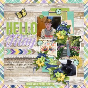 Hello May.jpg