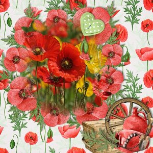 Poppies_ollitko_600.jpg