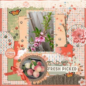 Week 4 -APRIL 2026- SLOW SCRAP-final step -Peaches,Fresh Picked..jpg