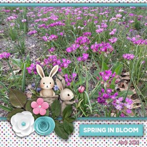 GS_2023April_SpringinBloom.jpg