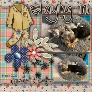 GS_2025March_StayingIn.jpg
