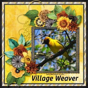 12-8-Village Weaver small.jpg