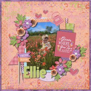 DLPatt_EllieBlooming_web.jpg