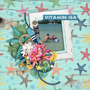 Ocean Summer Vibes-Ldrag.jpg