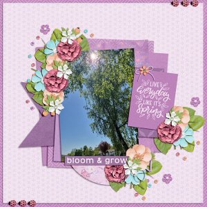 bloom-and-grow