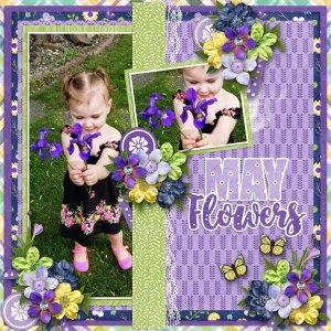 May Flowers