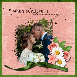 Our Love Is Blooming