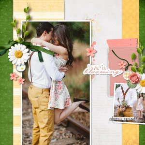 Love-is-Blooming.jpg