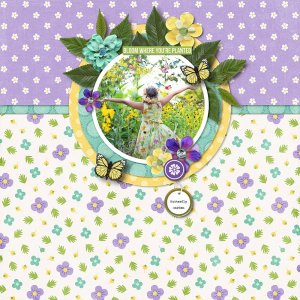 Butterfly-Garden.jpg